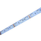 LED-стрічка 12 Вт 12 В SMD5050 60 діодів RGB серія Shade, гарантія 2 роки SL-1, фото 5