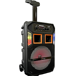 Безпровідна караоке колонка з мікрофоном та RGB-підсвічуванням 801 Чорний 47630