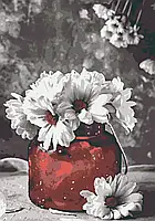 Картина за номерами Riviera Blanca Ніжні ромашки 28x40 см RB-0208