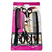 Перукарський набір LB-424