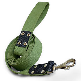 Повідець брезентовий для собаки. Брезентовий повідець 3 метри, 35 мм