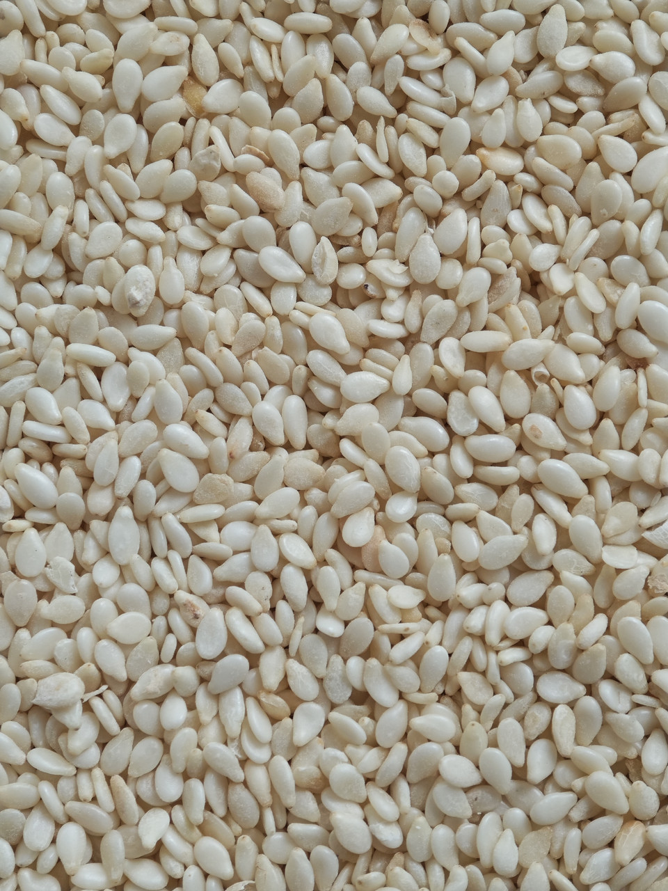 Кунжут 250 грам, фото 1