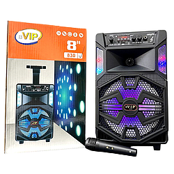 Безпровідна караоке колонка з мікрофоном та RGB-підсвічуванням VIP 830 Чорний 47628