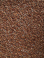 Льон олійний 100 грам