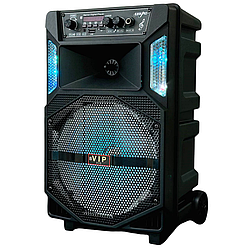 Безпровідна караоке колонка з мікрофоном та RGB-підсвічуванням VIP 835 Чорний 47629