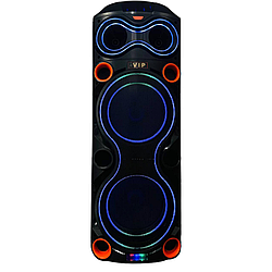 Безпровідна караоке колонка з двома мікрофонами та RGB-підсвічуванням VIP JT-1220 Чорний 47605