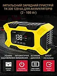 Імпульсний зарядний пристрій AGM E-FAST TK-300 (12В) (6 А) з функцією відновлення АКБ, фото 9