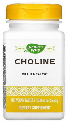 Холін Nature's Way Choline 500 mg 100 veg caps, фото 1