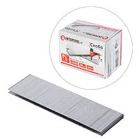 Скоба пневматична Intertool - 38 × 1 × 5,7 мм (5000 шт.) (PT-8338)