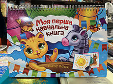 Книжка Busy Book Моя перша книга