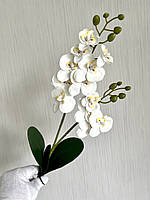 Штучна, латексна орхідея фаленопсис ( Baby, 51 см), фото 2