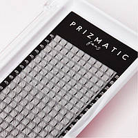 Готові пучки Sculptor Prizmatic CС 0,07 8-14мм 4D