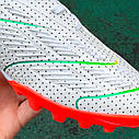Сороконіжки Adidas Predator Fussballliebe TF (39-45), фото 4