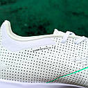 Сороконіжки Adidas Predator Fussballliebe TF (39-45), фото 7