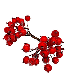 Калина в цукрі, колір -червоний, 1 пучок (38-40 ягід), Червоний, фото 3