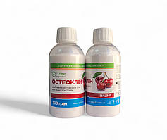 Остеоклін порошок для апаратів Aif Fow тм Дідент 300г вишня