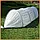 Парник 8м для рослин. "Економ" Щільність 40г/м2. Висота 80см. Ширина 120см. Парник із агроволокна. Україна., фото 7