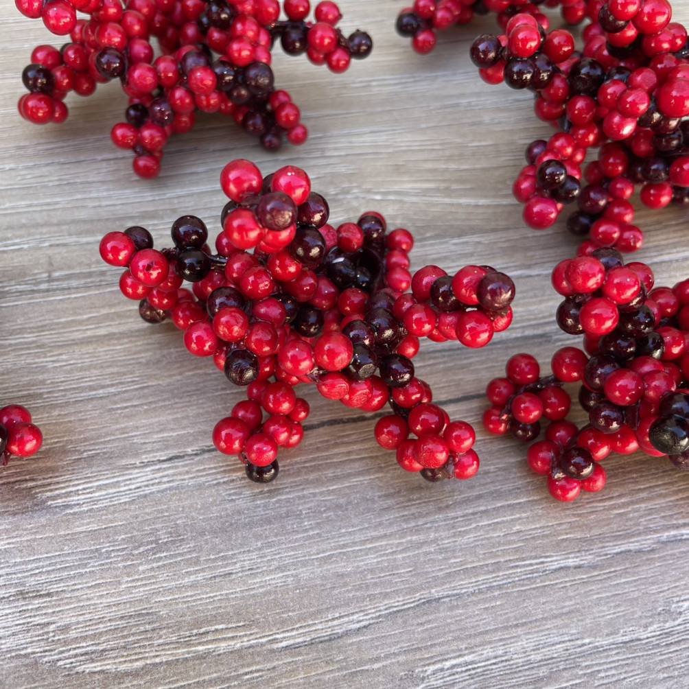 Ягода червона гілочка калина (10 шт.), фото 1