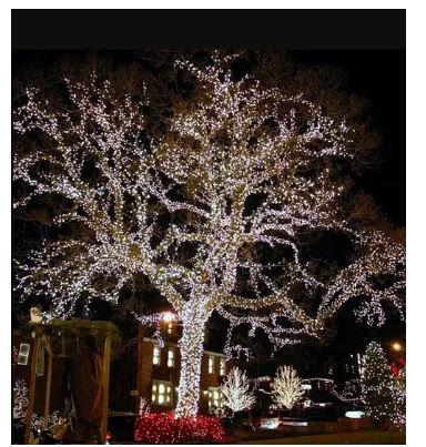 Вулична світлодіодна гірлянда великі краплі роси 500Led 50 м Холодний Білий (CC18200-T500)