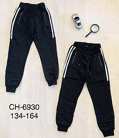 Утеплені спортивні штани для хлопчика гуртом, S&D, 134-164 см, арт. CH-6930