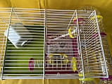 Клітка для хом'яка, фото 3