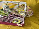 Клітка для хом'яка, фото 4