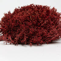 Стабілізований мох український ягель червоний 4 кг