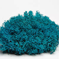 Стабілізований мох ягель український блакитний 4 кг