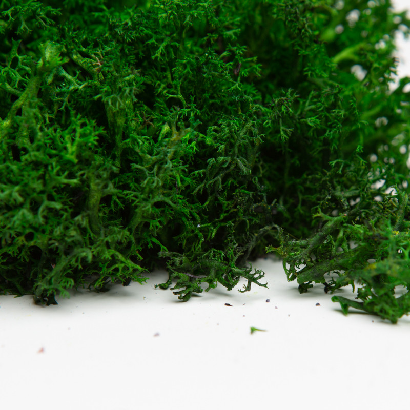 Стабілізований мох ягель український темно-зелений 4 кг