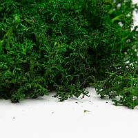 Стабілізований мох ягель український темно-зелений 4 кг