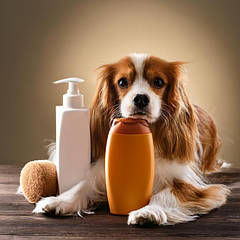 Шампуні та кондиціонери для собак