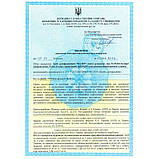 Рідина для дезінфекції інструментів Фадез із розпилювачем 250 мл Фурман, фото 5