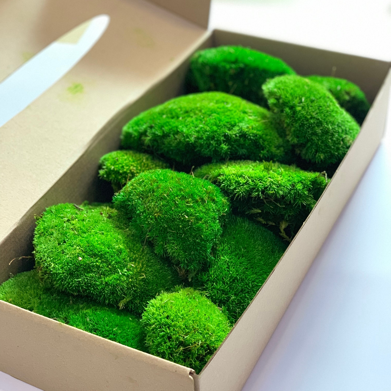 Стабілізований мох купина зелений 0,5 кг.