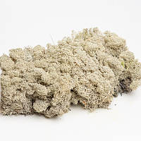 Стабілізований мох ягель скандинавський білий 4 кг