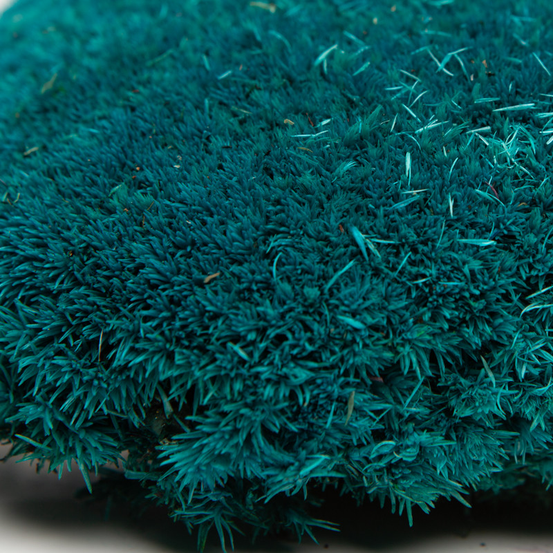 Стабілізований мох купина блакитна 4 кг.