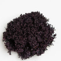 Стабілізований мох ягель український фіолетовий 1 кг