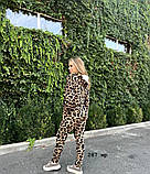 Костюм Лео жіночий норма та батал 287 нр, фото 6
