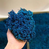 Стабілізований мох ягель український синій 4 кг