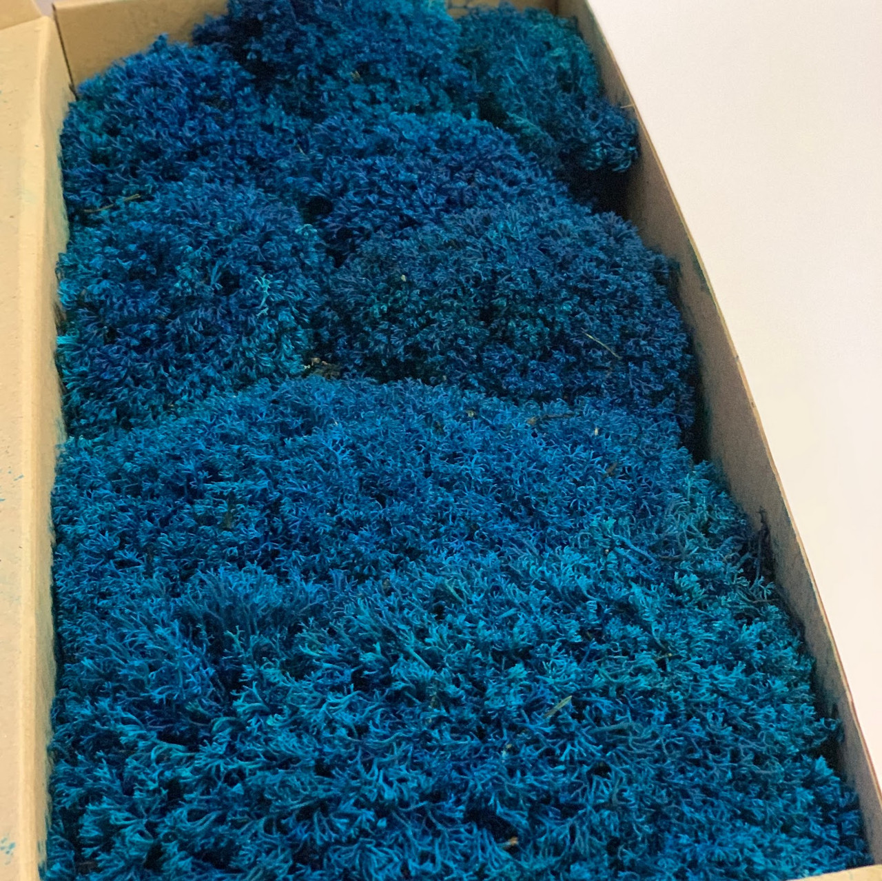 Стабілізований мох ягель український синій 1 кг