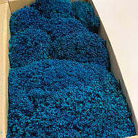 Стабілізований мох ягель український синій 1 кг