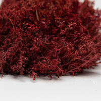 Стабілізований мох український ягель червоний 1 кг