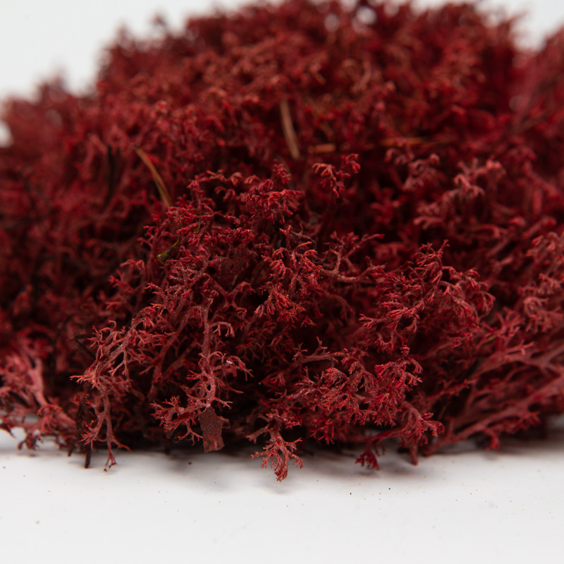 Стабілізований мох ягель український бордовий 4 кг