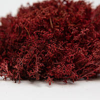 Стабілізований мох ягель український бордовий 4 кг