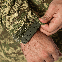 Костюм зимовий тактичний Defender 7 lvl Хижак, фото 10