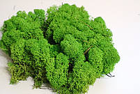 Стабілізований мох скандинавський ягель Light Green 4 кг