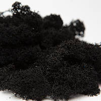 Стабілізований мох скандинавський ягель Black 4 кг