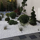 Галька біла «Доломіт» Туреччина (ціна за 1 кг від 1 тони), фото 3