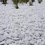Галька біла «Доломіт» Туреччина (ціна за 1 кг від 1 тони), фото 4