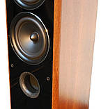 Комплект акустики Taga Harmony TAV-606 v.3 Set Walnut, фото 6