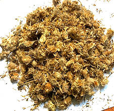 Арніка гірська квіти 50 гр.